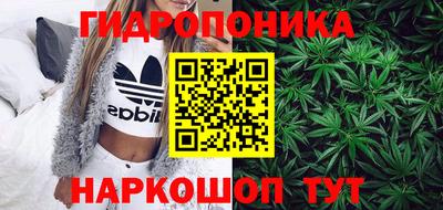кокс Рязань
