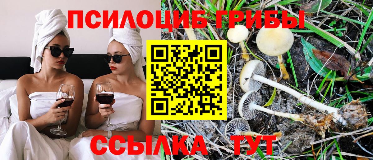 МАРИХУАНА  Метамфетамин  Cocaine  ГАШИШ  Метадон  ГАШИШ  NBOMe  Купить  Семёнов  Вход с VPN  Мефедрон  