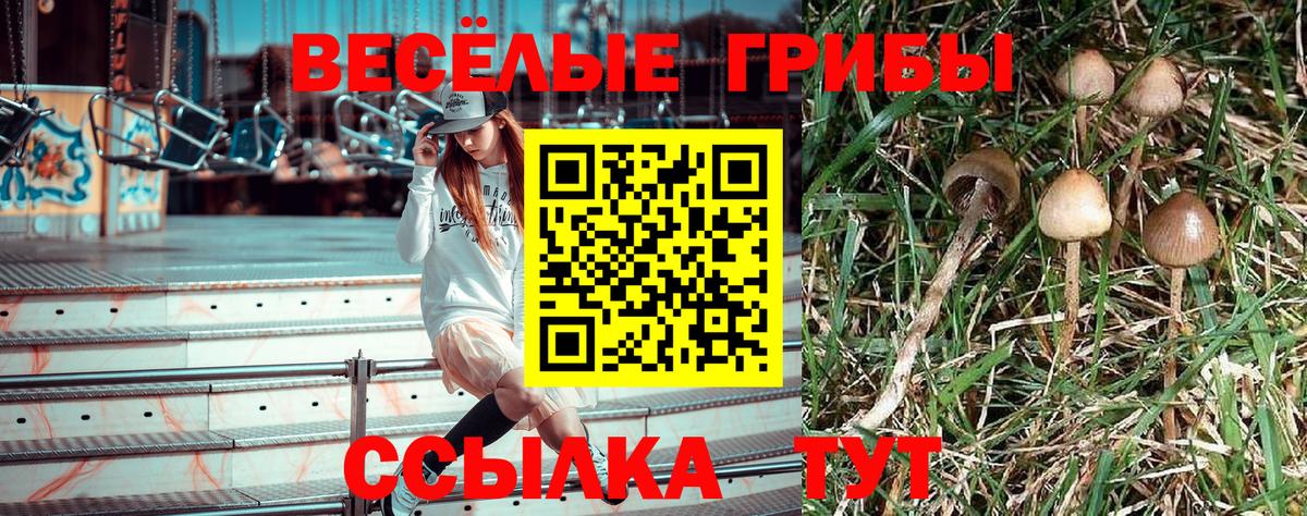 Галлюциногенные грибы Cubensis Семёнов