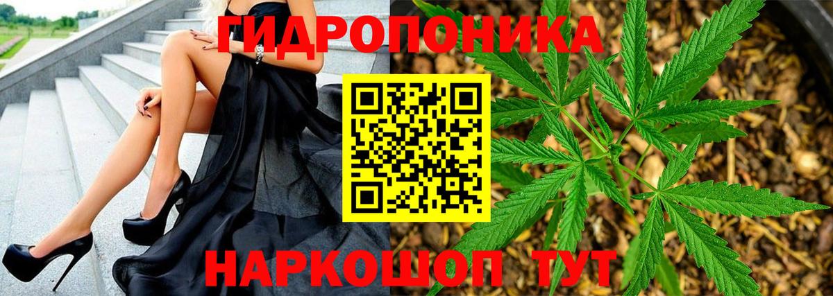 Шишки марихуана конопля  Марихуана семена  Семёнов  Вход с VPN  Марихуана AK-47  Марихуана MAZAR 